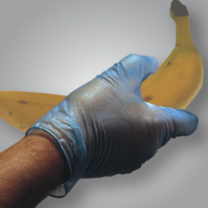 Shield2 GD13 PowderFree Vinyl Disposable Gloves Gloves.co.uk